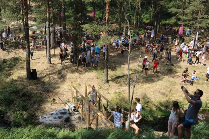 Mountain music fest (2017.)