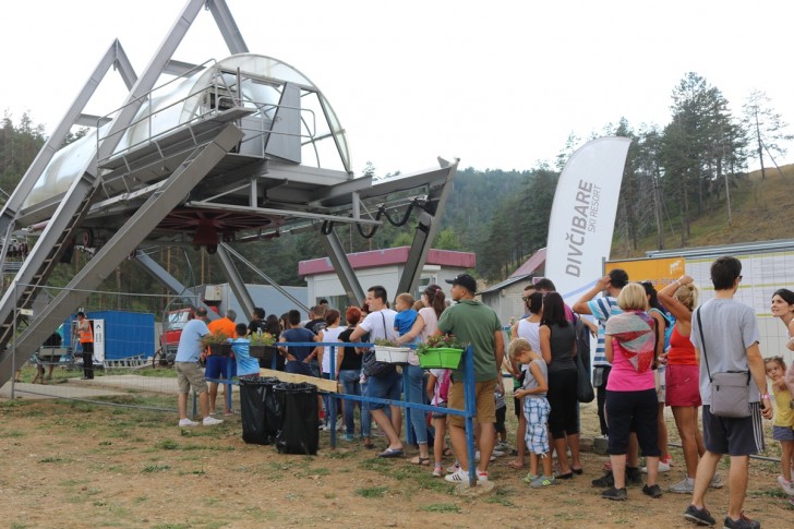 Mountain music fest
