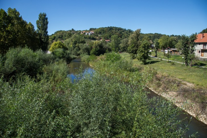 Kolubara u korovu