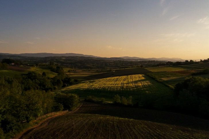 Fotografija Milivoja Milosavljevića 