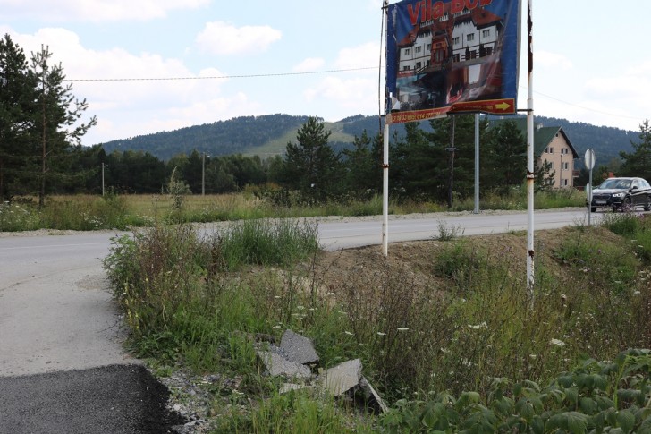 Korov uz trotoar i ulicu