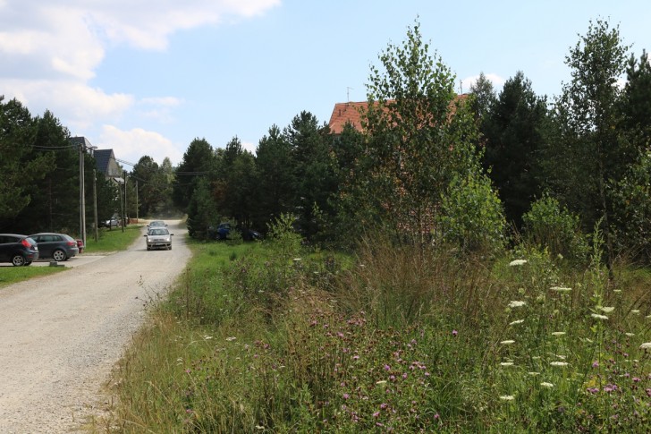Korov uz ulicu