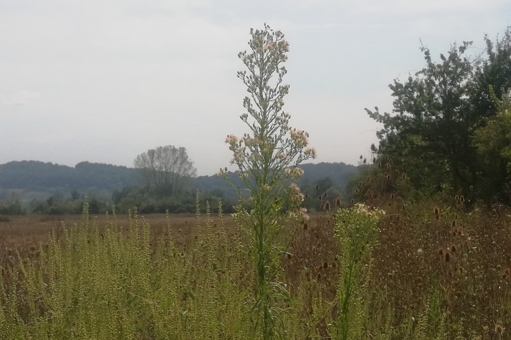 Nova industrijska zona