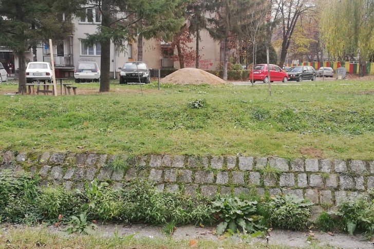 Rizlom protiv poplava