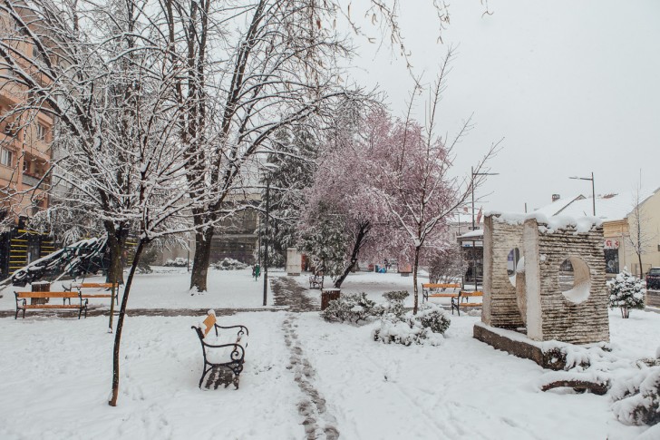 Vanredno stanje, 24. 03. 2020.