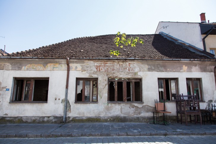 Na krovu kuće raste drvo