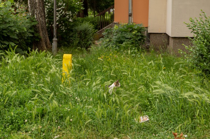 Naselje Zbratimljeni gradovi