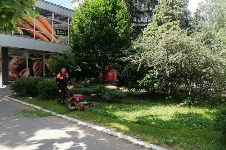 Košenje trave u parku ispred limenke