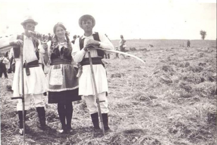 Kosidba na Rajcu (1970.)