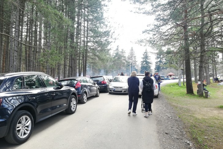 Pešaci i automobili
