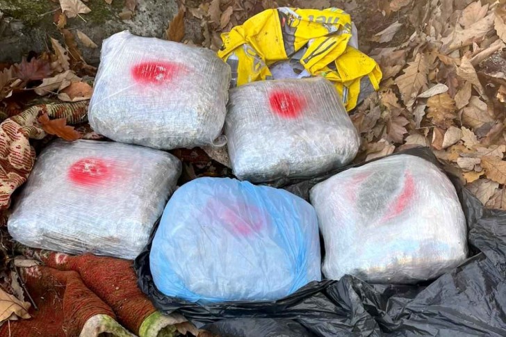 Zaplenjena droga
