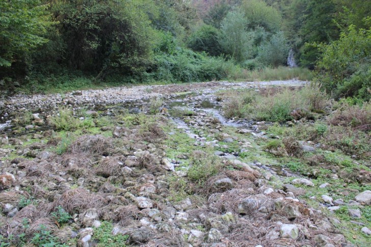 Gradac bez glavnog vrela
