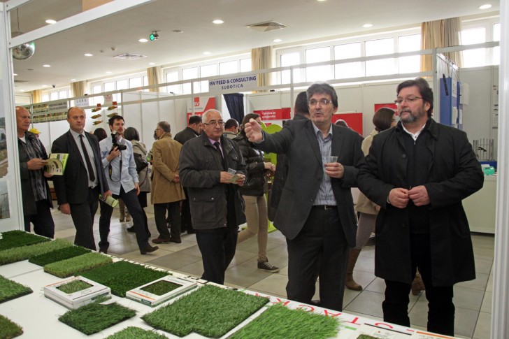 Bojčić, Ilič, Grujić i Kovač na SPREG-u