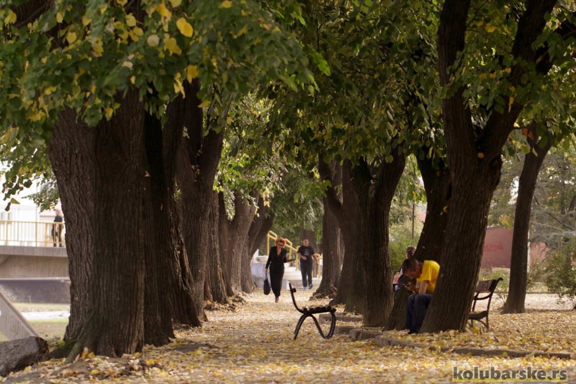 Park kod Partizana