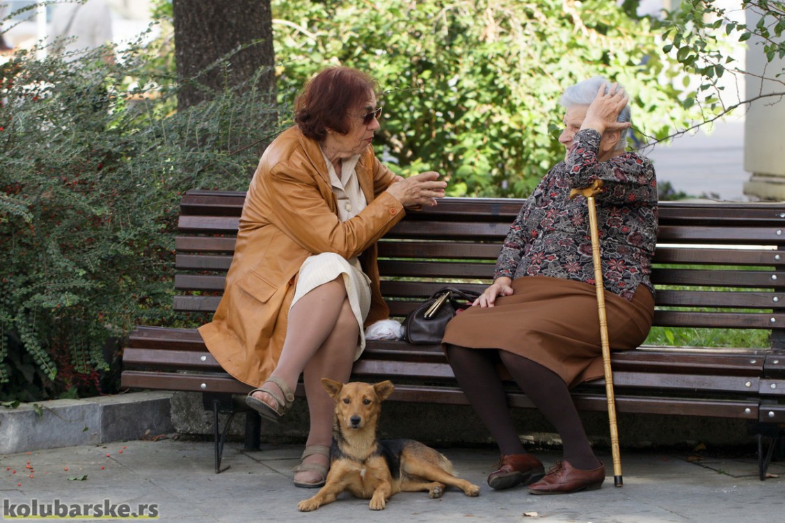 Drugarice i čuvar