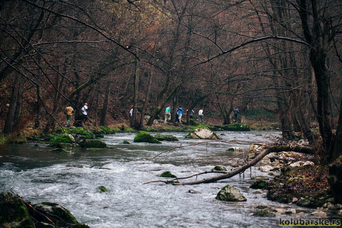 Učesnici u šumi pre Konjičkog