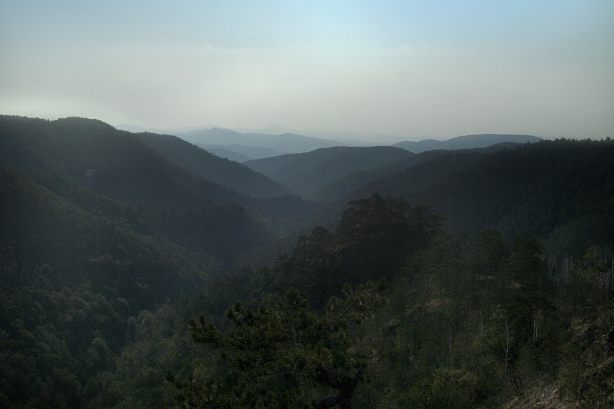 Over the hills and far away