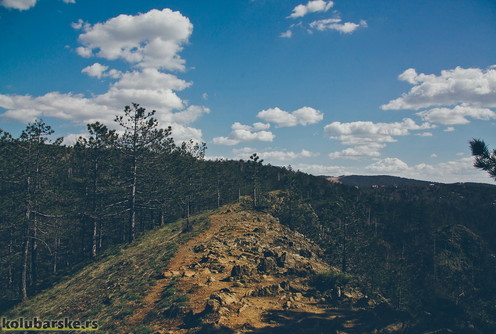 Divčibare (foto: Đorđe Đoković)