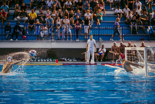 Vaterpolo (ilustracija) (foto: Đorđe Đoković)