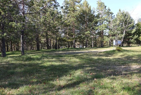 Autokamp Breza (foto: Kolubarske.rs)