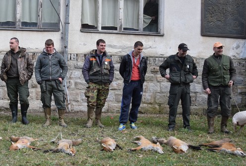 Jedna od ranijih hajki na lisicu (foto: Lovačko udruženje Rajac)