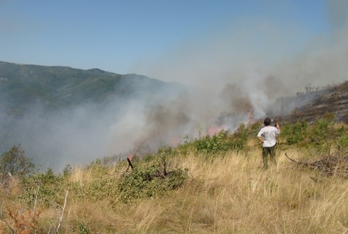 Šumski požar na Planinici (foto: Kolubarske.rs)