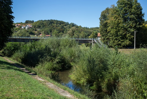 Kolubara u korovu (foto: Đorđe Đoković)