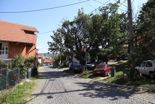 Bair (foto: Đorđe Đoković)