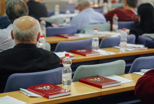 Skupština grada (foto: Đorđe Đoković)