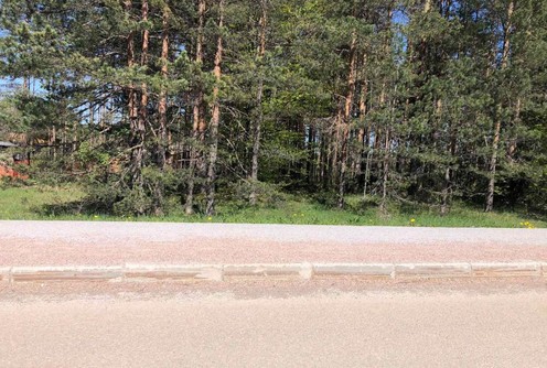 Rizla na ulici i trotiaru na Divčibarama (foto: Kolubarske.rs)