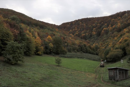 Selo (foto: Kolubarske.rs)