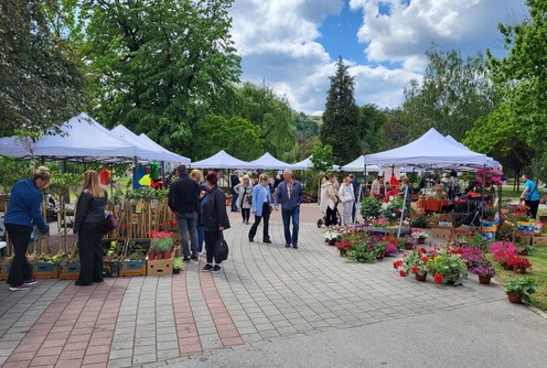 Izložba cveća u Parku na Jadru (2024.) (foto: Kolubarske.re)