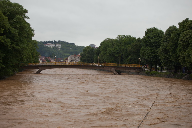 Poplava (ilustracija) (foto: Đorđe Đoković)