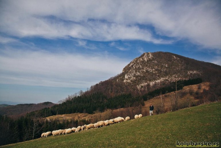  Ispod Velikog Povlena (foto: Đorđe Đoković)