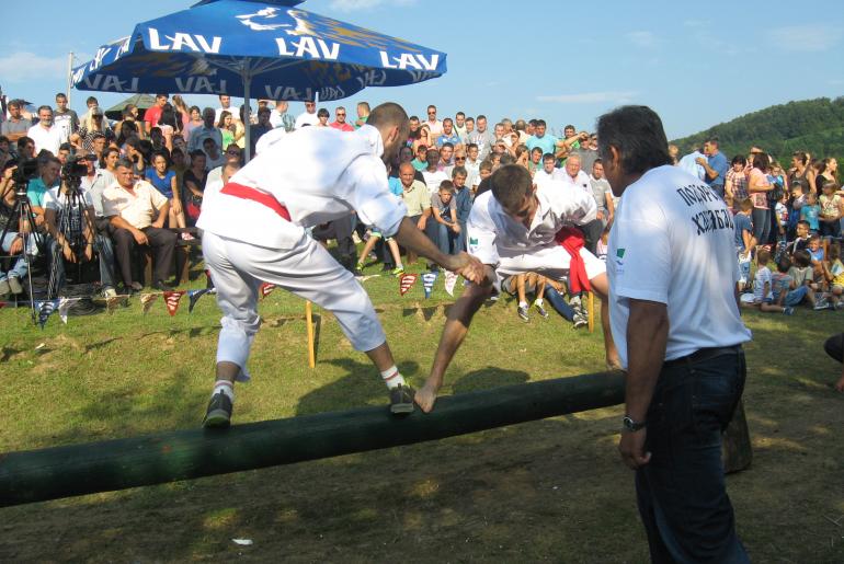 Izbor podgorskog harambaše (arhiva)