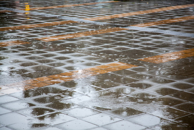 Kiša (foto: Đorđe Đoković)