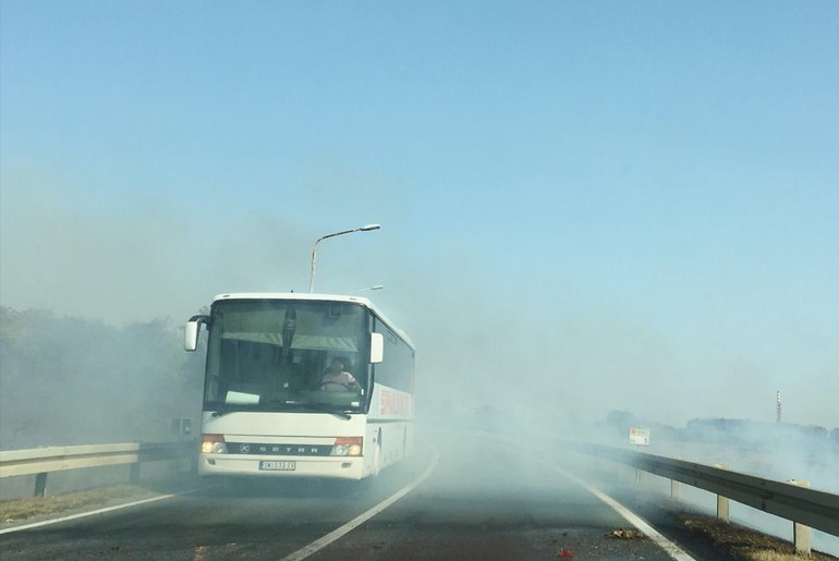 Autobus (foto: Đorđe Đoković)