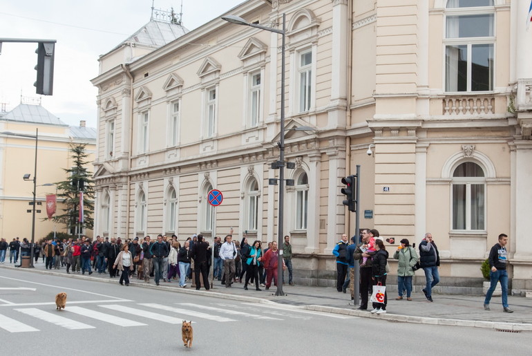 Šetnja (ilustracija) (foto: Đorđe Đoković)