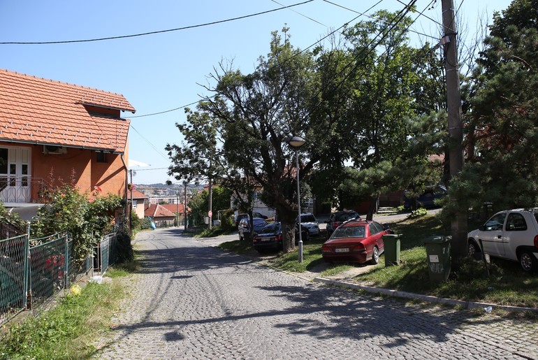 Bair (foto: Đorđe Đoković)