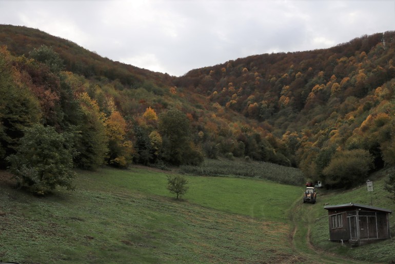 Selo (foto: Kolubarske.rs)