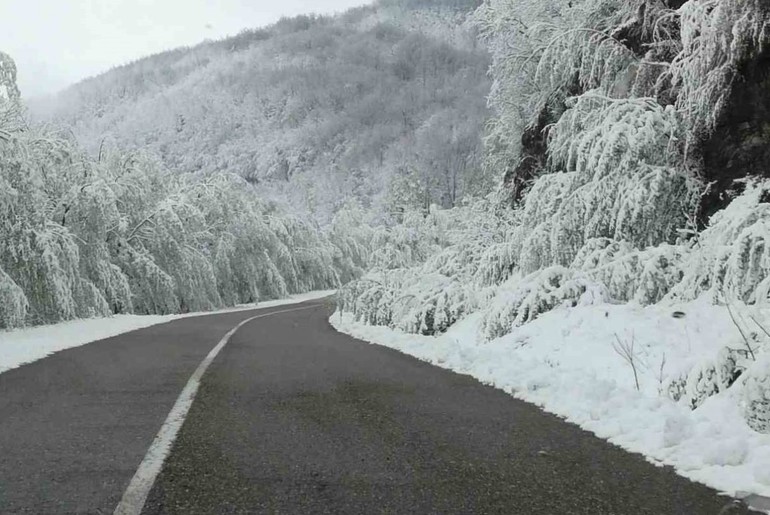 Saobraćajnica (foto: Kolubarske.ts)