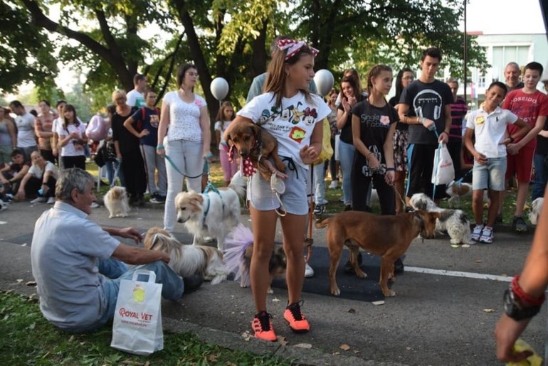 Izložba pasa mešanaca (arhiva) (foto: Udruženje Čarna)